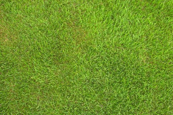 2025年偏财运最好的羊，2025年什么行业属羊人偏财运最好