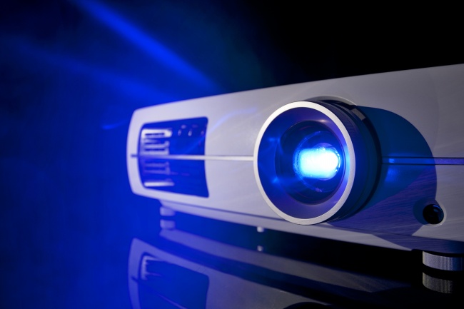 2031年金猪命好吗