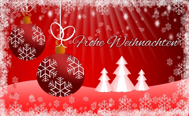 六道木最旺什么生肖