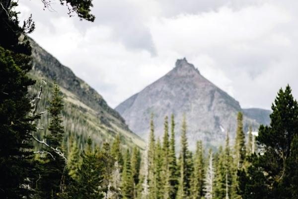 属猴不能生在几点
