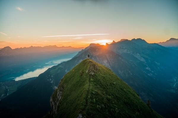 梦到动物骨架会是什么预兆