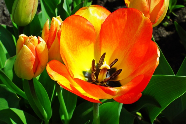 梦见已故的人又去世怎么样