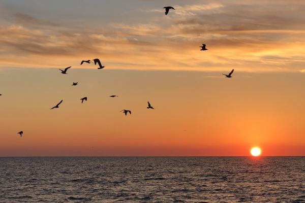 梦到了拾到包是啥预兆