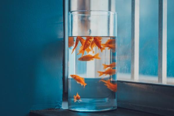 梦到天文望远镜预示了什么