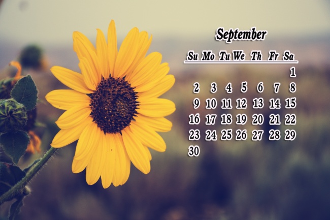 梦到了家里来许多人预示了什么