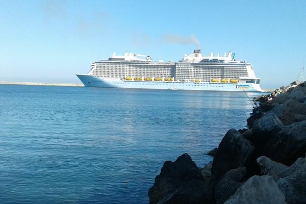 84年女鼠晚年幸福吗