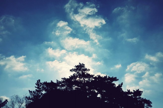 1967年男羊正缘和孽缘