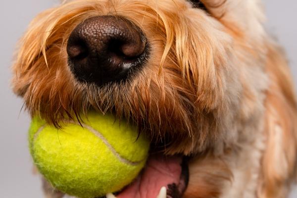 1966属马的孽缘是谁