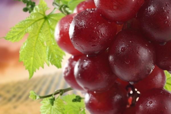 90属马人36岁才是大运