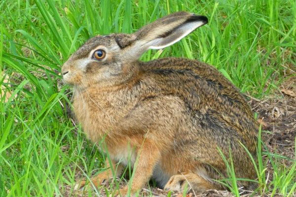 梦到腿摔伤预示了什么