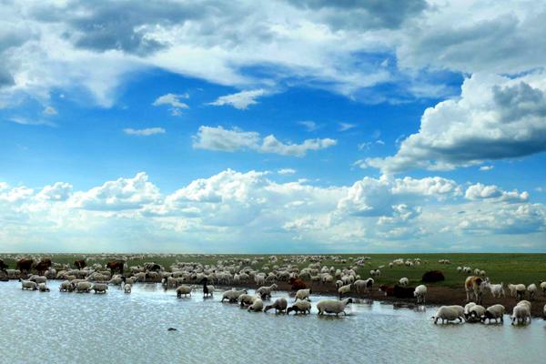 1965年属蛇佩戴什么好