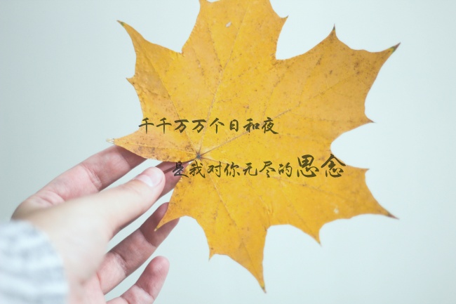 梦见梦前夫会是什么预兆