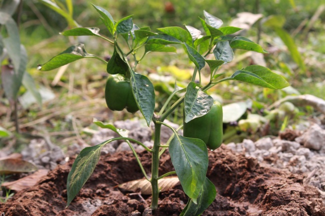 梦到财物失而复得有什么预示吗