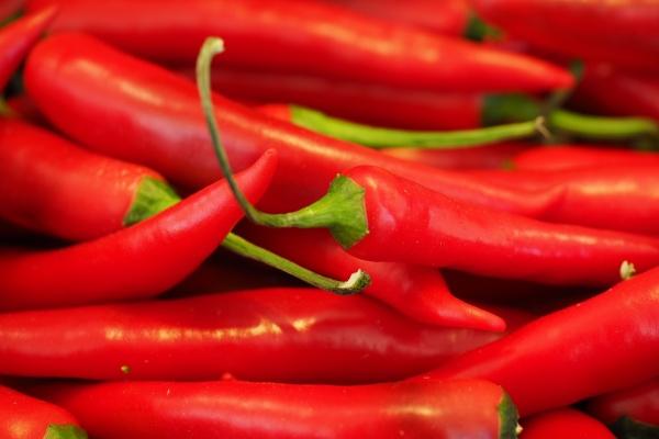 72年鼠男会娶情人吗，72年男鼠的二婚顺利吗