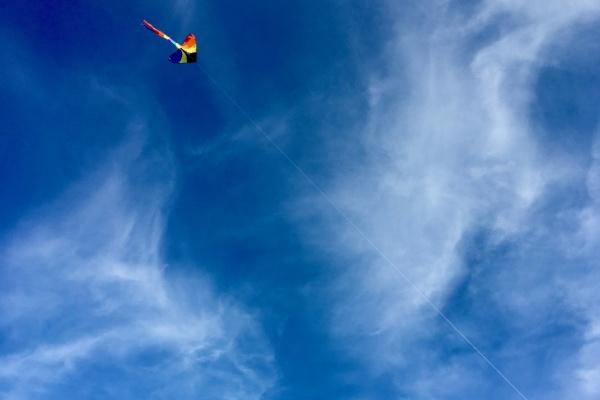 梦见蟒蛇飞有什么意思