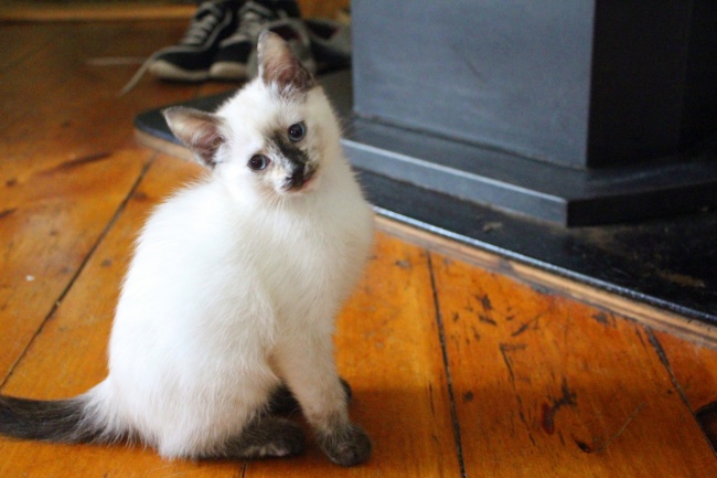 梦见帮别人买鞋是什么意思？