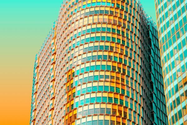 梦到儿子头上长虱子是不是好的征兆呢