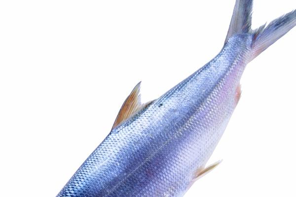 梦到杀了亲戚有什么预兆