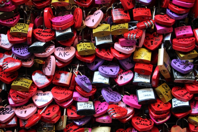 属马的大灾之年是哪年