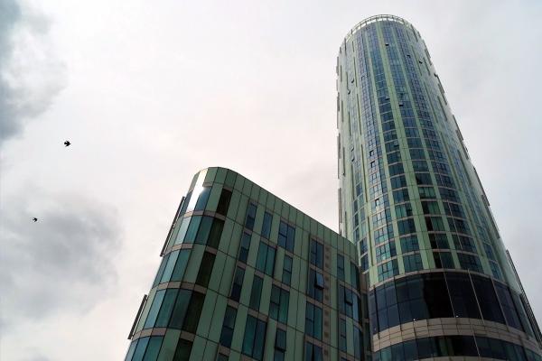 1936年属什么生肖