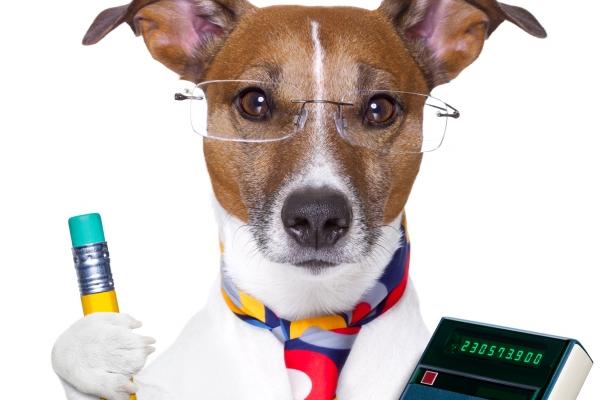 1957年属什么生肖今年几岁