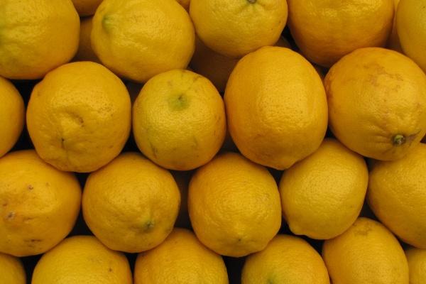 92年属什么生肖