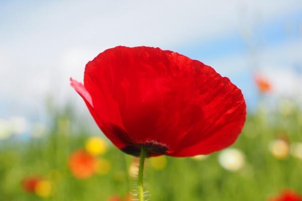 梦见鞋子破了个洞什么预兆