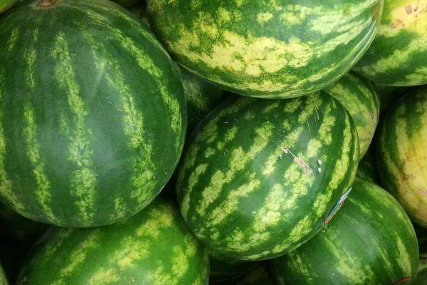 梦到了一双脚预兆了什么吗