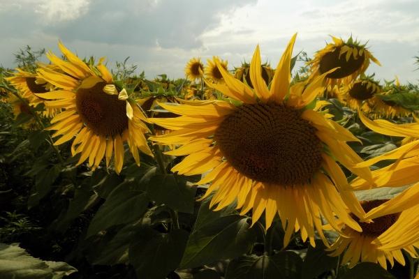 梦到了接待客户啥意思