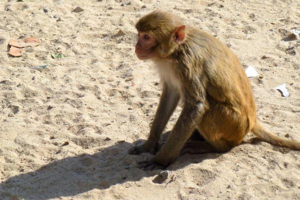 马2025奇遇大喜事