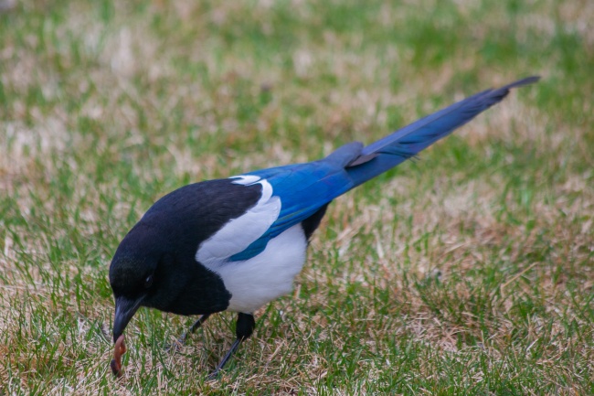 兔2025奇遇大喜事