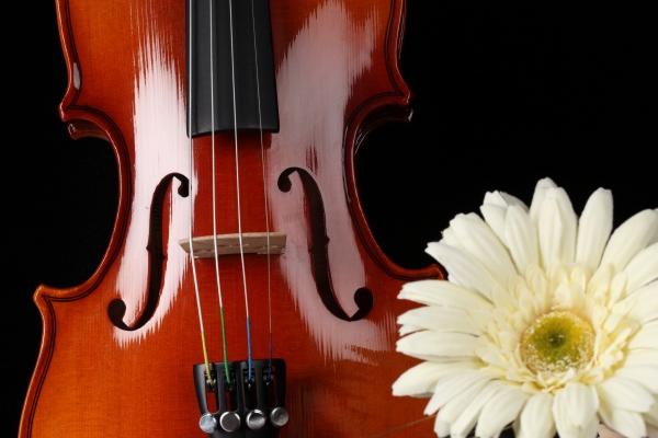 鸡出远门2025最佳时机