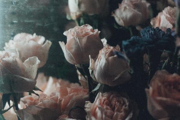 狗2025奇遇大喜事