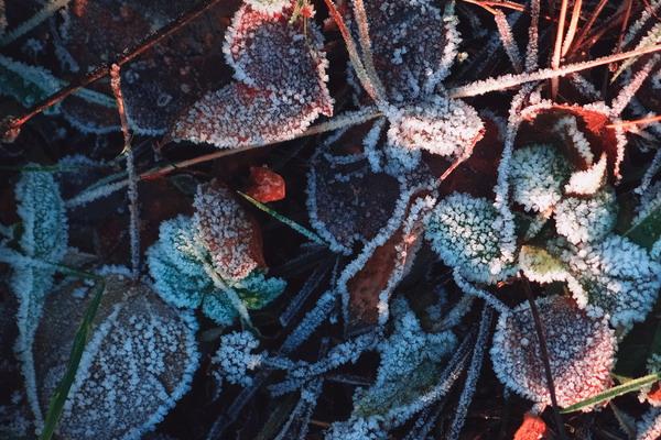 2026属猪人彻底大爆发