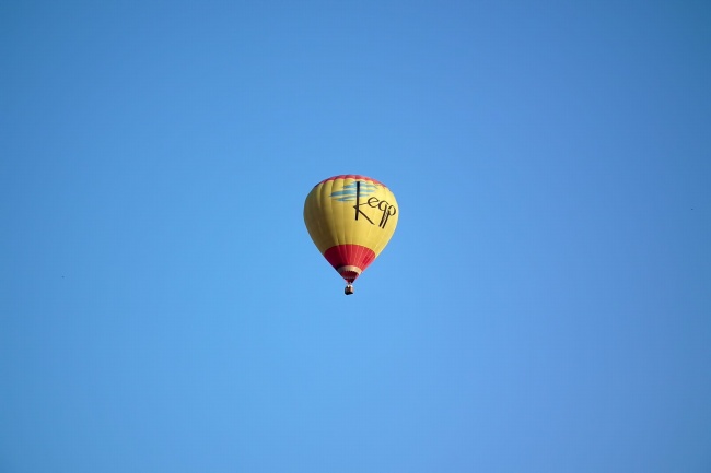 蛇出远门2025最佳时机