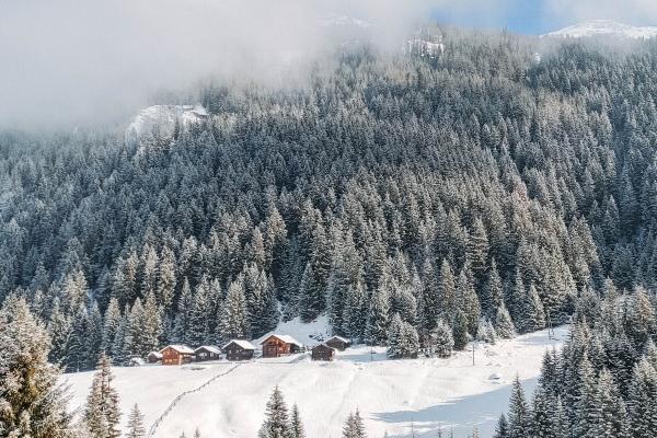 唯一能旺属兔人的生肖