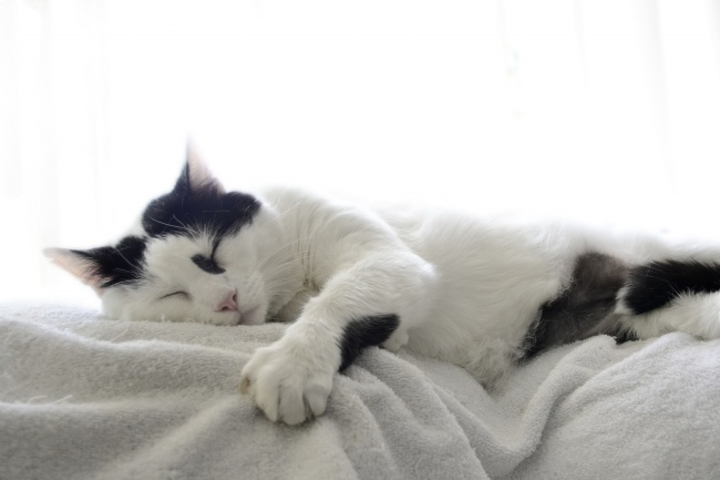 牛2025奇遇大喜事