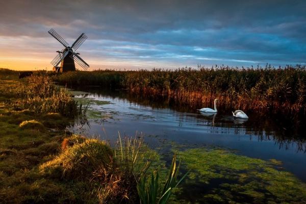 梦见开车拉棺材意味什么