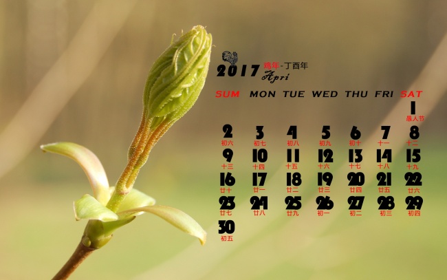 兔女最忌三个属相