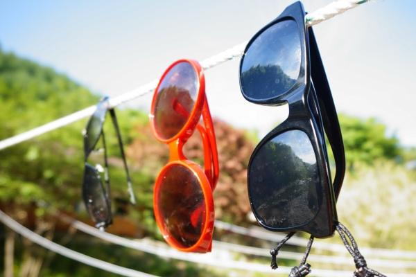 最旺2006年狗的城市