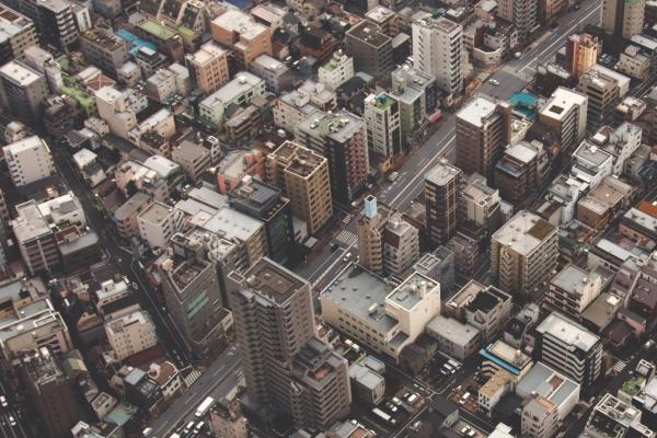 乌龟挡灾的三大生肖