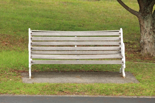 梦到超大乌龟有什么寓意吗