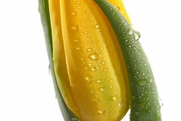 属虎情劫一般是39岁了