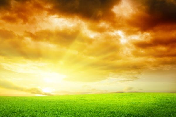 梦到了抱马意味什么