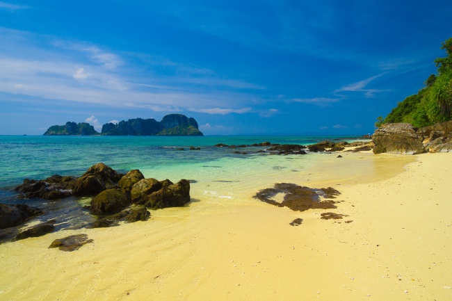 属蛇的什么时辰出生有官运，属蛇天生做大官的时辰