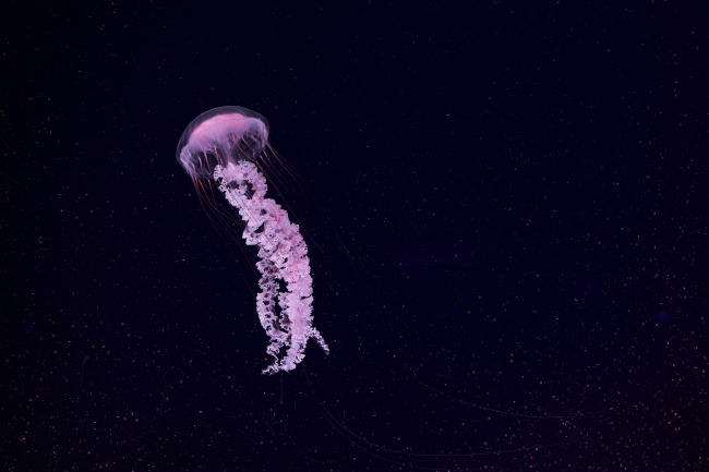 梦到了前男友了是什么意思