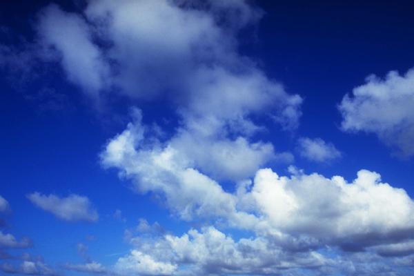 梦见别人家的墙倒了会有什么预兆