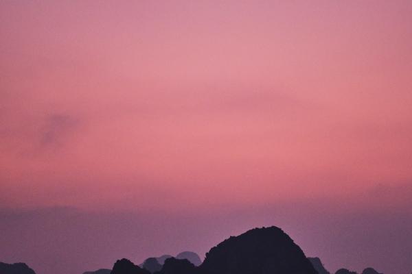 2007年属猪人早婚还是晚婚