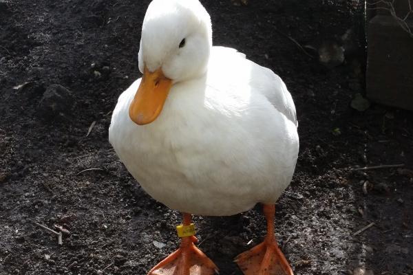 92属猴的孽缘在哪一年