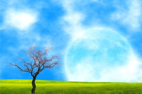 梦到丈人死了有什么寓意吗